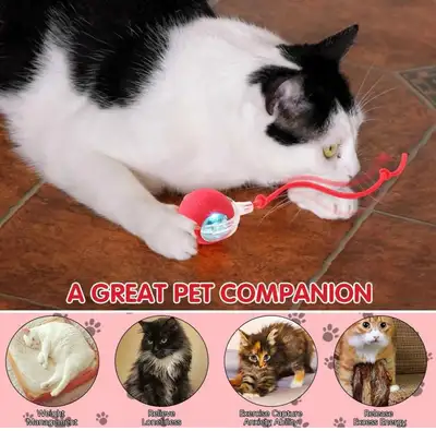 Cat Interactive Ball Toy Rolling Ball Faux Tail Rechargeable, View more