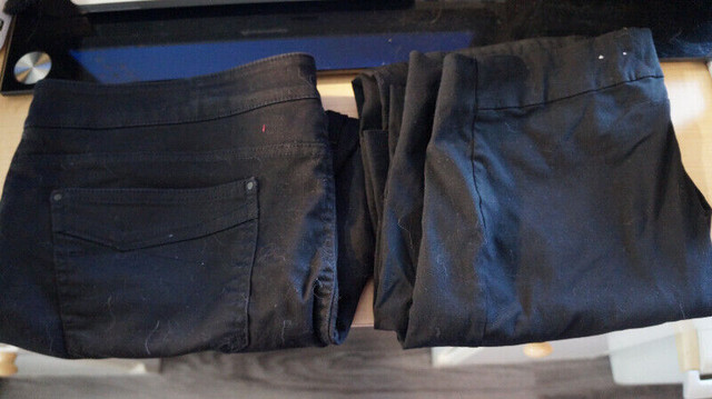 2  LADIES PANTS in Women's - Bottoms in Norfolk County