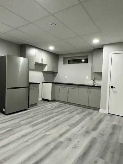 Brand new basement for rent, View more