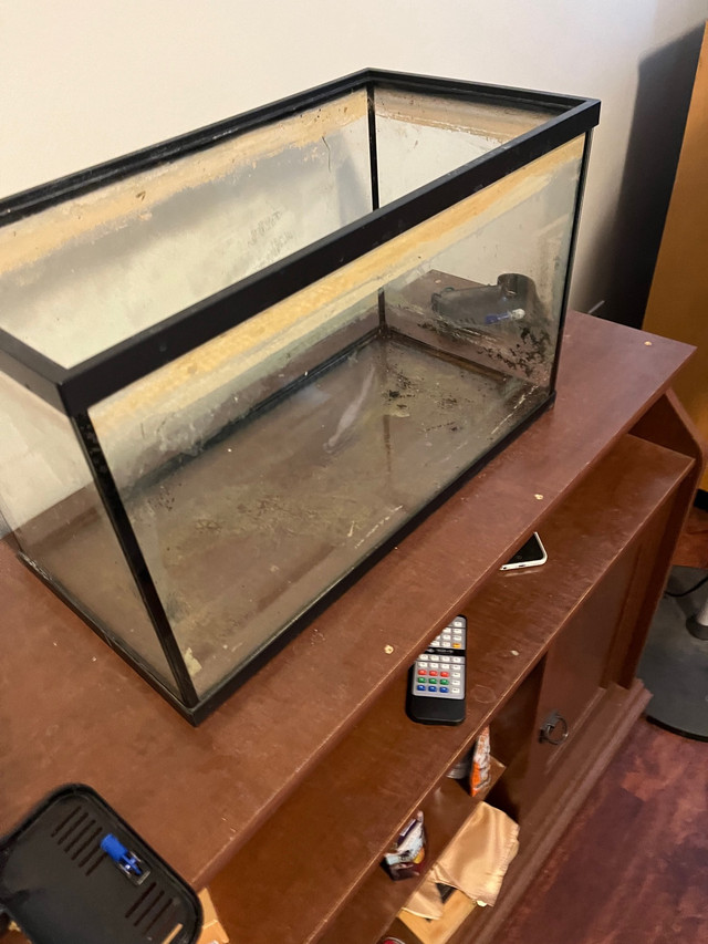 10 gallon aquarium in Fish for Rehoming in Cambridge