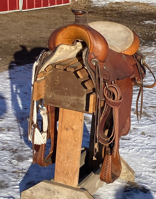 Roper Saddle in Equestrian & Livestock Accessories in Prince Albert - Image 2