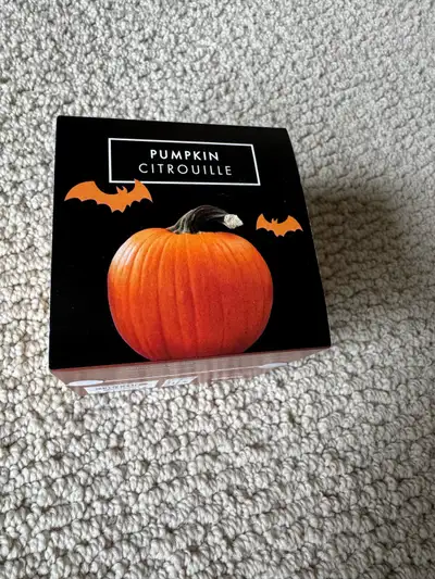 Indigo Pumpkin Ecocube - Unopened!, View more