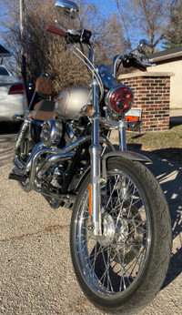 Harley Davidson, Sportster XL custom 1200