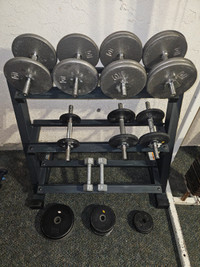 Dumbells, Weights and Weight Rack