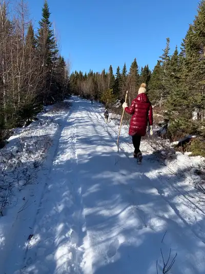 25 acre Off-Grid Haven in Pleasant River, NS **PRICE DROP**: $45000 plus HST was $49,900 plus HST LO...