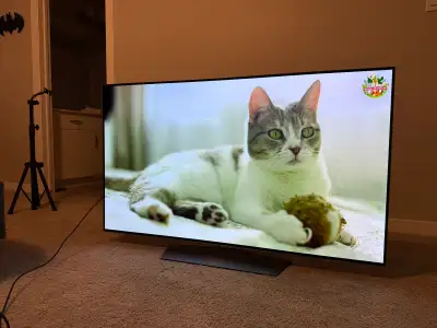 LG OLED 55B6P, View more