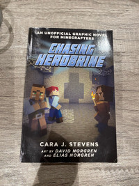 Minecraft - Chasing Herobrine 
