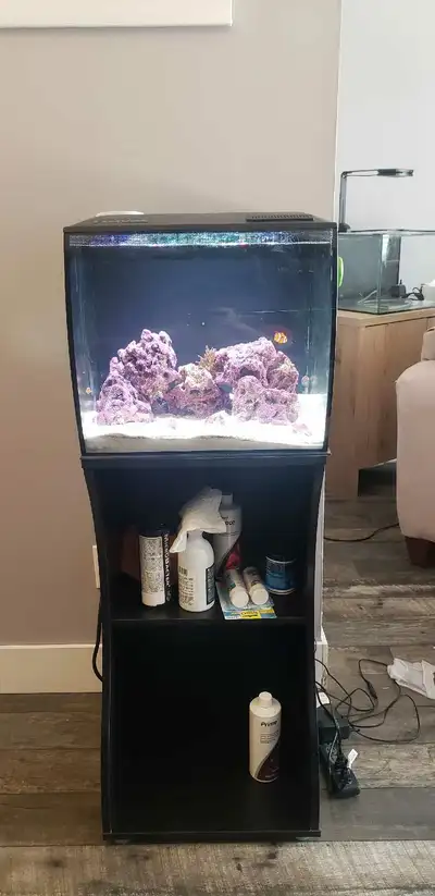 Selling my used Fluval Flex 15 gallon saltwater aquarium with stand, a stunning setup for any aquati...