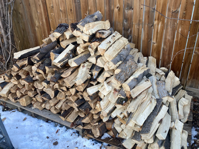 Firewood  in Deer Run in Other in Calgary - Image 2