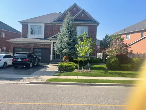 Bright, newly renovated basement apartment offering nearly 1,100 sq. ft. of modern, sun-filled livin...
