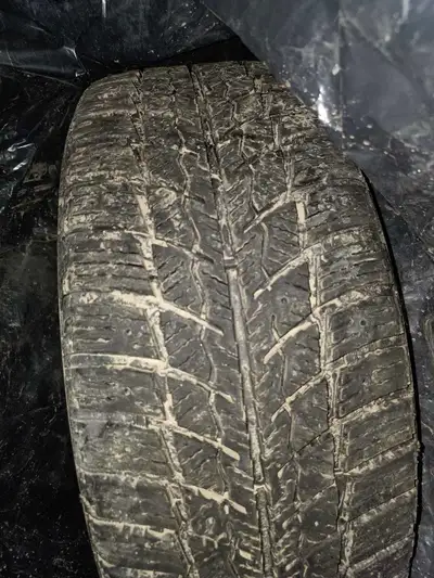 Zeta Antarctica ICE 205/55/16 on steel wheels (7mm tread remaining). Ideally good for another 20 to...