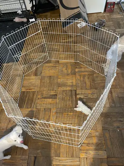 Small Pet Playpen 45” Wide, View more