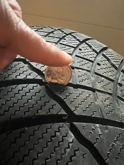 Motomaster Winter Edge II Motomaster Winter Edge II 225/65R17 tires on steel rims. Bought new and us...