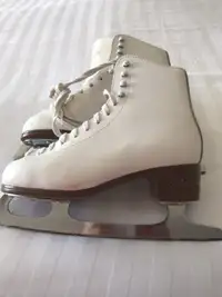 Jackson Artiste figure skatesl