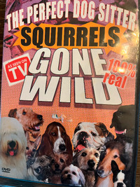 Dog entertainment DVD - Squirrels Gone Wild!