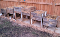 Raised garden boxes