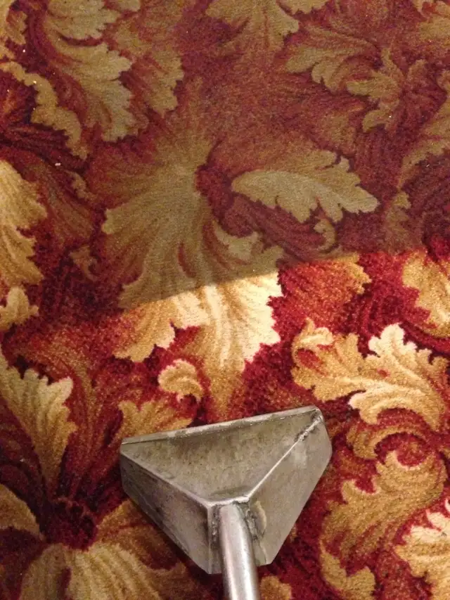 Carpet and Upholstery Cleaning in Condos for Sale in Saskatoon - Image 11