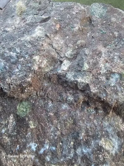 3 Blocks with 2700 acres of mineral claims next door to Mount Polley Gold and Copper mine. Very litt...