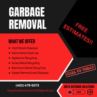 Garbage removal and property clean up