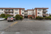 1BED/1BATH 650.SQFT CONDO IN CENTRAL ABBOTSFORD