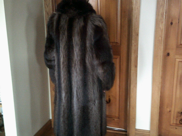 Manteau de chat sauvage long dans Femmes - Hauts et vêtements d'extérieur  à Laval/Rive Nord - Image 4