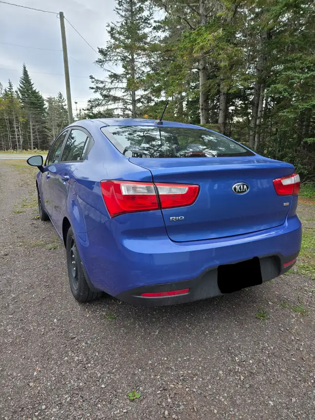 2014 Kia Rio591903162767790082