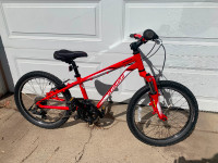 Specialized 20” Hotrock kids bike