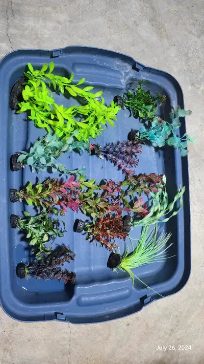 All have cleaned . Asking : $15 for ALL ( Ormaments / Plants ) . Located in Lucas Ave NW in Livingst...