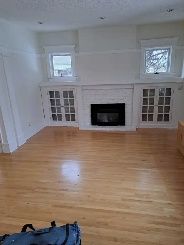 Professional painter w/35 yrs exp. Solid references.469588985302886408