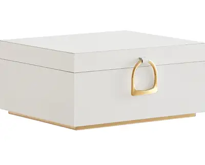 SONGMICS Elegant White Jewelry Box – Large 2-Tier Organizer with Floating Design Keep your treasures...