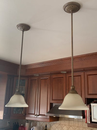 Pending light fixture 