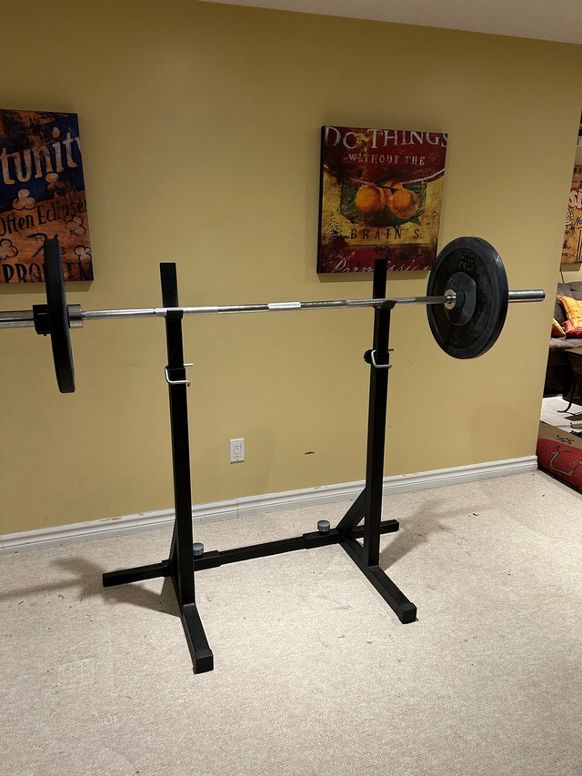 Home gym in Exercise Equipment in Oakville / Halton Region - Image 2