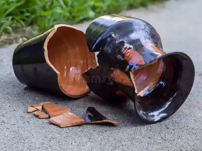 Vase & Antique Statue Repairs ......... ((((CALL US NOW)))), View more