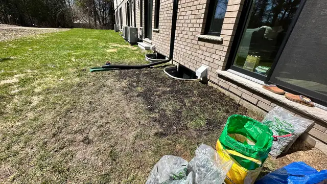 Yardwork, spring cleaning427545404407828480
