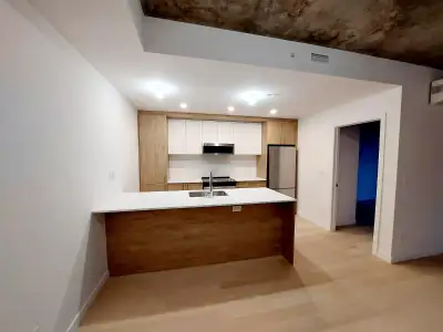 Grand condo neuf 4 1/2 à louer en face du Metro Langelier
