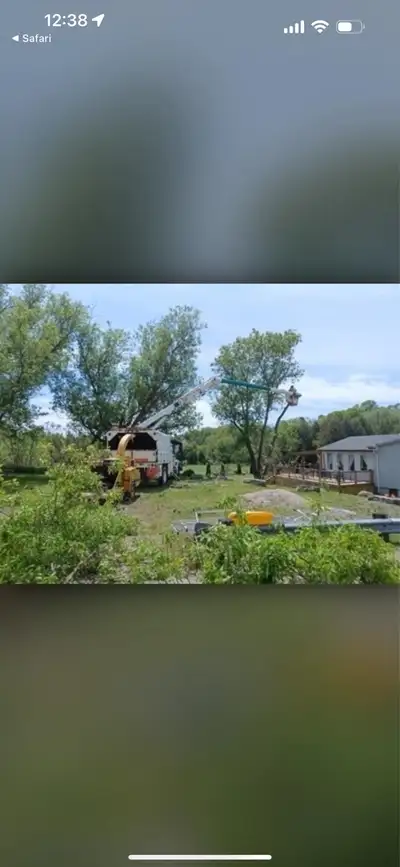 Storm Damage Tree Removal - Fast & Reliable - eliteoutdoorsolutions - We specialize in safe and effi...