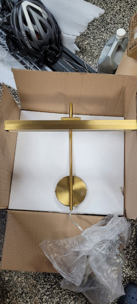 Brushed Brass picture light sconce 