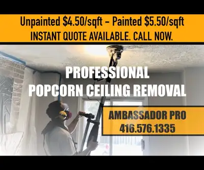 We Remove Popcorn. Skimcoat. Prime & Paint Ceiling  ⭐️⭐️⭐️⭐️⭐️, View more