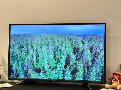 Toshiba 43" 4K UHD HDR Fire Smart TV – Excellent Working Conditi, View more
