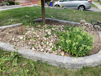 Quality & Affordable Gardening/Yard Cleanup