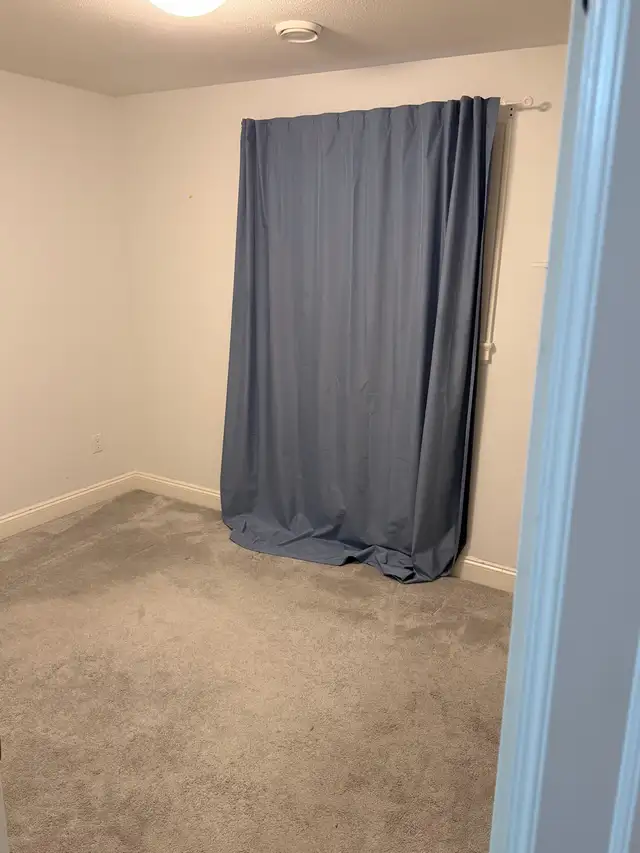 2 bedroom basement suite  in Long Term Rentals in Delta/Surrey/Langley - Image 7