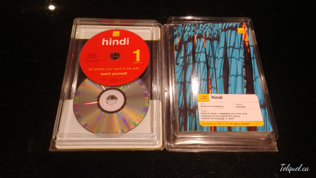 Maîtriser l'Hindou / Mastering Hindi dans Manuels  à Longueuil/Rive Sud - Image 2