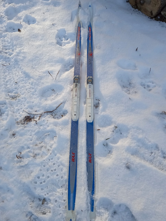 Ski de fond Fisher 190cm dans Ski  à Sherbrooke