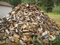 Dry Pine Firewood for Sale