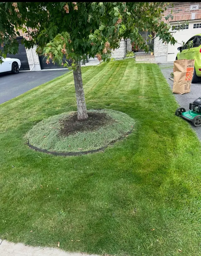 Lanw mowing services 464149116555120641