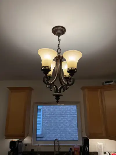 Light Fixture, View more