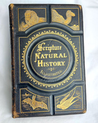 Antique Bible Animal Stories *  Illustrated * Leather Bound