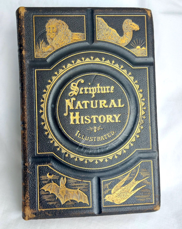 Antique Bible Animal Stories *  Illustrated * Leather Bound in Other in London