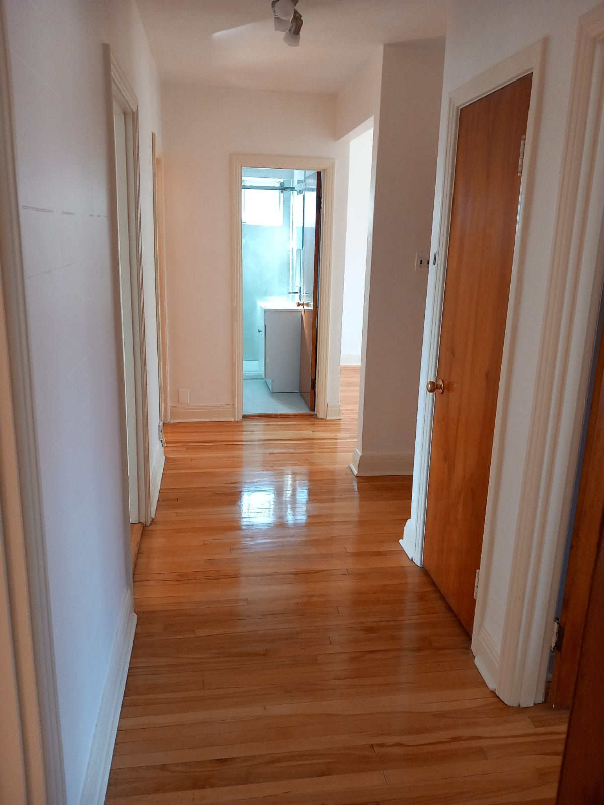 4922 Avenue Mariette — photo 2