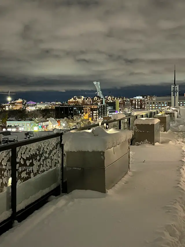 4 1/2 Mercier-Hochelaga Maisonneuve in Long Term Rentals in City of Montréal - Image 10